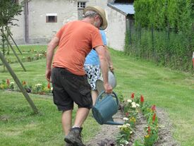 Arrosages des plantes